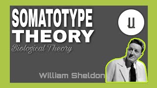 Somatotype Theory by William Sheldon [upl. by Anse]