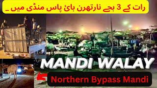 Soda per soda  Northern bypass mandi 2024 update  cow mandi 2024 [upl. by Eikceb]