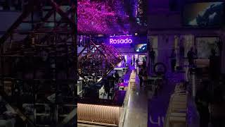 Rosado Club Jaipur [upl. by Oby]