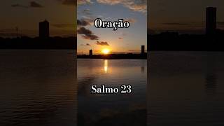 Oração do Salmo 23 salmo23 bibleverse [upl. by Acisey]