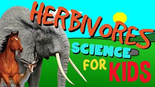 What is a Herbivore  Science for Kids [upl. by Thanh]