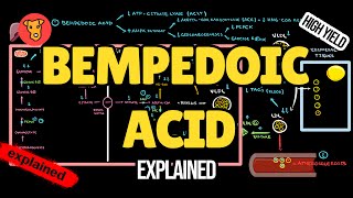 BEMPEDOIC ACID Mechanism of action Pharmacology of Lipid lowering drugs [upl. by Verine]