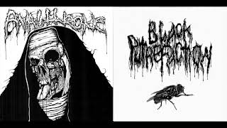 Analthrone  Black Putrefaction  Split [upl. by Knarf466]