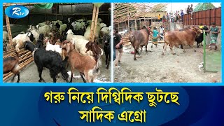 গুড়িয়ে দেয়া হলো সাদিক এগ্রোর আরো একটি খামার  Sadik Agro  Rtv News [upl. by Auqenat]