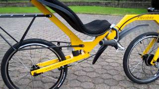 Flevobike city  tour adjuster [upl. by Jenine]