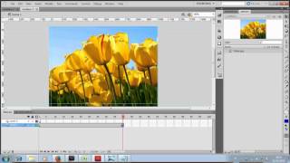 Cara membuat Masking di Flash [upl. by Antsirhc928]