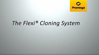 Flexi® Cloning System [upl. by Glennis462]