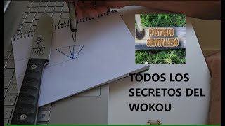 LOS SECRETOS DEL WOKOU  UN CUCHILLO UNICO [upl. by Coryden]