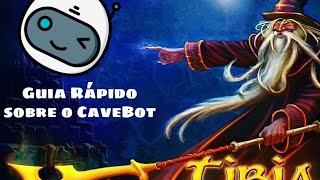 Guia CaveBot Tibia Canob 2022 [upl. by Alioz]