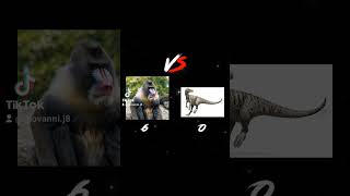 Mandrill vs Herrerasaurus [upl. by Okuy]