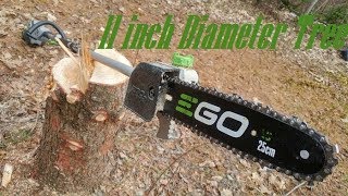 Cut Down a Large Tree with The EGO Pole Saw 56V [upl. by Belden450]