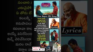 Sanchari Sanchari song  Sanchari Sanchari song lyrics  Sarangapani Jathakam Songs  SaiRaLyrics [upl. by Derick]