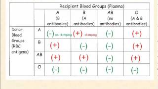 Blood Types [upl. by Airec]