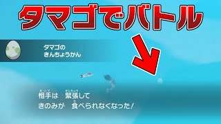 【メニューバグ】バトルで『タマゴ』を出すこともできるバグが可能性を秘めている【ポケモンSV バグ 検証 】 [upl. by Eadrahc]