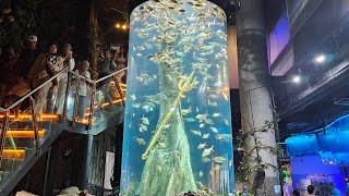 Aquaria KLCC Kuala Lumpur  biggest aquarium in Malaysia [upl. by Alahc]