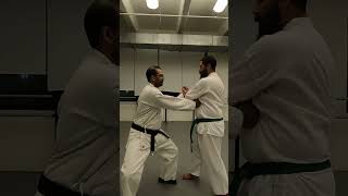 Most Isshinryu Karateka Never Learn This About Seisan Kata [upl. by Gilberto]