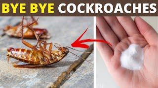 2 Home Remedies to Get Rid of Cockroaches in Your House Using Baking Soda and Onion  House Keeper [upl. by Vida]