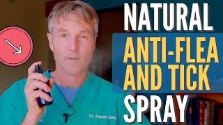 Natural Flea and Tick Spray for Dogs [upl. by Nagrom]