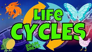 LIFE CYCLES BRAIN BREAK EXERCISE SCIENCE AND MOVEMENT FIND THE MISSING STAGES SCIENCE GAME [upl. by Acus]