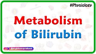 Metabolism of Bilirubin  Dr Mahesh [upl. by Red4]