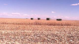 Beckley Harvesting Inc pickin corn in Kansas [upl. by Gratianna411]