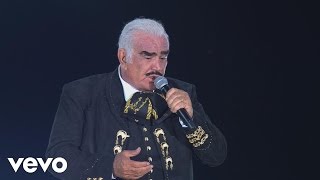 Vicente Fernández  Un Millón de Primaveras En Vivo Un Azteca en el Azteca [upl. by Nashom316]