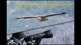 Photo animalière  réussir les photos doiseaux en vol  photo animalier tuto technique [upl. by Adler]