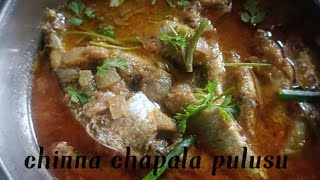 chinna chapala pulusu food cooking trending recipe curryrecipe chapalapulusu nonveg [upl. by Fabria]