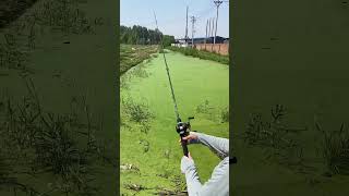 Another type of fishing rod for fish huntingviralvideo shorts [upl. by Aynatahs229]