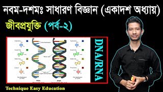 61 Nine Ten General Science Chapter 11 Part2 ll SSC Science Chapter 11 ll SSC Biggan Chapter 11 [upl. by Inait]