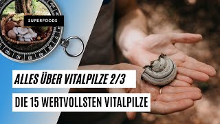 Die 15 wichtigsten Vitalpilze 🌲🍄  und wie Du sie einsetzt [upl. by Yelsgnik243]