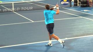 Juan Martin Del Potro  Backhands in Slow Motion [upl. by Koller]