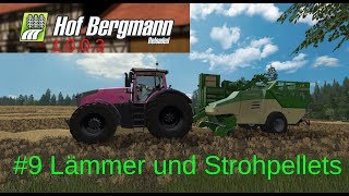 LS17  Hof Bergmann 1003  9 Lämmer und Strohpellets [upl. by Grissom195]