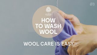 How to Hand Wash a Wool Sweater [upl. by Eniamerej]