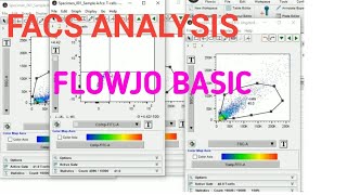 FLOWJO BASIC II FACS DATA ANALYSIS II Xgene and proteinX [upl. by Sitoeht972]