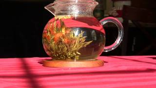 HD Numi Flowering Tea Time Lapse [upl. by Htes]