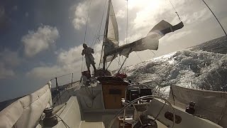 quotAlone Togetherquot Singlehanded Sailing LA to Hawaii and Return [upl. by Arlan272]