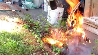 Propane torch to destroy weeds naturally  and burn my neighbors shed [upl. by Rusel]