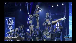 Cheer Athletics Royalcats  Majors [upl. by Loyce709]