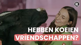 Welke emoties hebben boerderijdieren [upl. by Zobe]