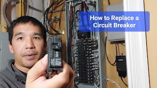 How to Replace a Circuit Breaker [upl. by Rj912]