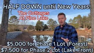 Tiny Home Lots  Half down until New Years at The Cottages at Pine Lake PLUS Guided Walking Tour [upl. by Grimbal]