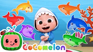 Baby Shark Learns Colors  CoComelon Nursery Rhymes amp Kids Songs [upl. by Lesak]