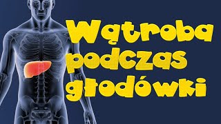 Wątroba a głodówka jak to jest [upl. by Cherlyn]