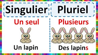 Grammaire  Apprendre le Singulier et le Pluriel [upl. by Sirhc]