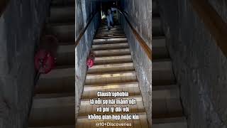 Test ngay hội chứng sợ không gian hẹp funfacts claustrophobia hoichungsokhonggianhep [upl. by Adnoraj139]