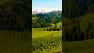 Meadows in Mountains🥰🥰🥰🥰shortvideo  zeeshu ki duniya [upl. by Lithea]