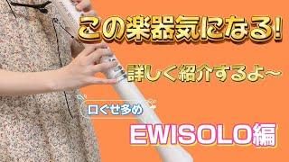 【楽器紹介】EWI SOLOについて詳しく紹介！ewisolo ewi 楽器紹介 [upl. by Acirred136]