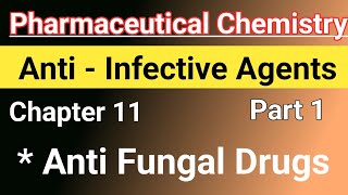 Anti Fungal Drugs in hindi  Anti infective drugs  Chemistry chapter 11 in hindi [upl. by Lipinski]