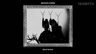 Spectral Wound  Infernal Decadence Full Album [upl. by Arihsan]